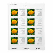 Square Photo - Chrysanthemum Etiket (Full Sheet)
