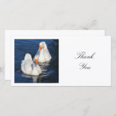 Square Photo - Emden Geese Bedankkaart (Voorkant / Achterkant)