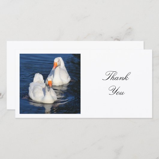 Square Photo - Emden Geese Bedankkaart (Voorkant / Achterkant)