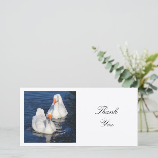 Square Photo - Emden Geese Bedankkaart (Staand voorkant)