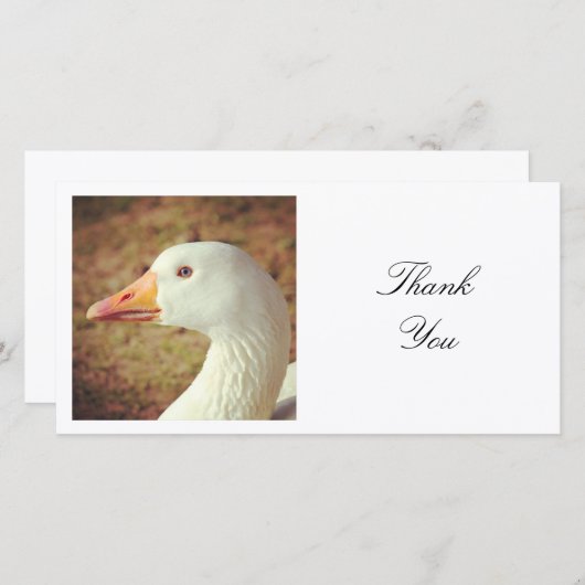 Square Photo - Goose Bedankkaart (Voorkant / Achterkant)