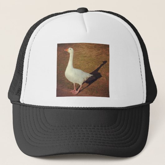 Square Photo - Goose Trucker Pet (Voorkant)