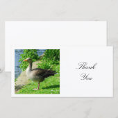 Square Photo - Greylag Goose Bedankkaart (Voorkant / Achterkant)