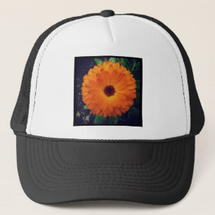 Square Photo - Marigold Trucker Pet