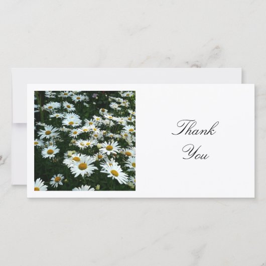Square Photo - Shasta Daisies Bedankkaart (Voorkant)