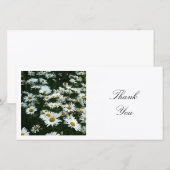 Square Photo - Shasta Daisies Bedankkaart (Voorkant / Achterkant)