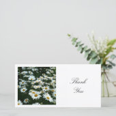 Square Photo - Shasta Daisies Bedankkaart (Staand voorkant)