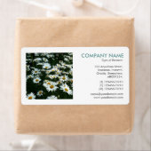 Square Photo - Shasta Daisies II Etiket (Insitu)