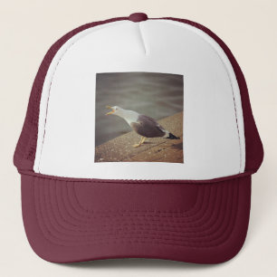 Square Photo - Squawach Seagull Trucker Pet