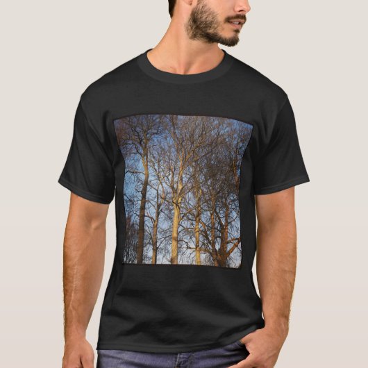 Square Photo - Sunlit Winter Trees T-shirt (Voorkant)