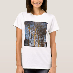 Square Photo - Sunlit Winter Trees T-shirt
