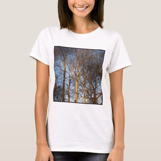 Square Photo - Sunlit Winter Trees T-shirt (Voorkant)