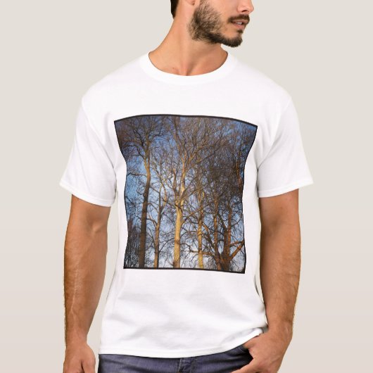 Square Photo - Sunlit Winter Trees T-shirt (Voorkant)