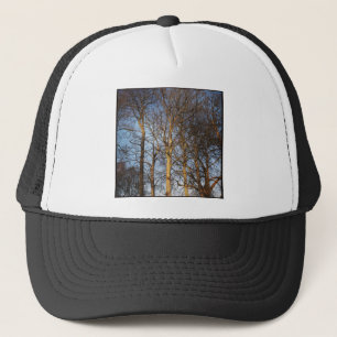 Square Photo - Sunlit Winter Trees Trucker Pet