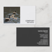 Square Photo (v2) - Canada Geese met Goslings Visitekaartje (Voorkant / Achterkant)