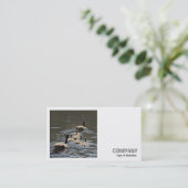Square Photo (v2) - Canada Geese met Goslings Visitekaartje (Staand voorkant)