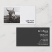 Square Photo (v2) - Friendly Donkey Visitekaartje (Voorkant / Achterkant)