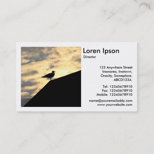 Square Photo (v2) - Herring Gull Sunset Visitekaartje (Achterkant)