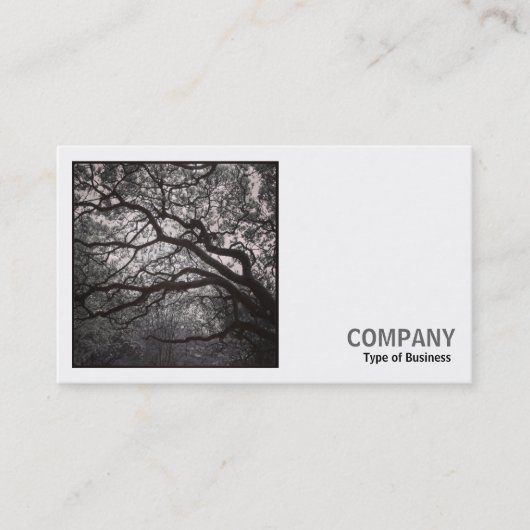 Square Photo (v2) - Magnolia Tree in Blossom 01 Visitekaartje (Voorkant)