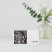 Square Photo (v2) - Magnolia Tree in Blossom 02 Visitekaartje (Staand voorkant)