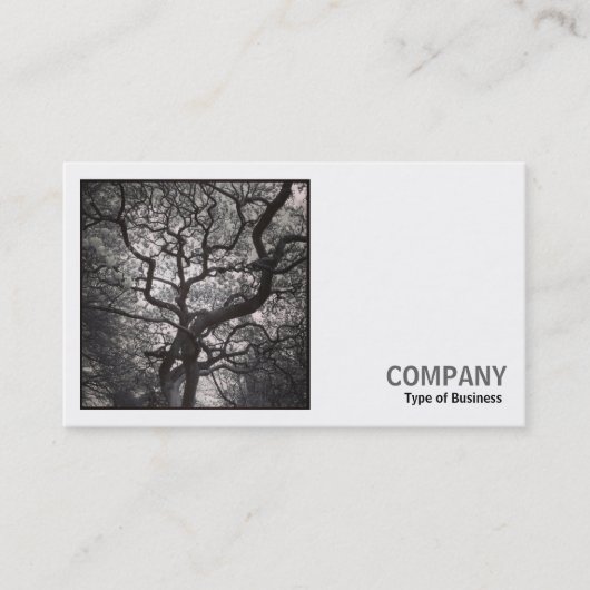 Square Photo (v2) - Magnolia Tree in Blossom 03 Visitekaartje (Voorkant)