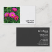 Square Photo (v2) - Michaelmas Daisies 02 Visitekaartje (Voorkant / Achterkant)