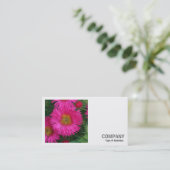 Square Photo (v2) - Michaelmas Daisies 03 Visitekaartje (Staand voorkant)