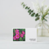 Square Photo (v2) - Michaelmas Daisies Visitekaartje (Staand voorkant)