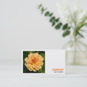 Square Photo (v3) - Dahlia 'David Howard' Visitekaartje (Staand voorkant)