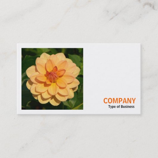 Square Photo (v3) - Dahlia 'David Howard' Visitekaartje (Voorkant)