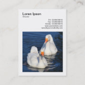 Square Photo (v3) - Emden Geese Visitekaartje (Achterkant)