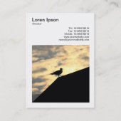 Square Photo (v3) - Herring Gull Sunset Visitekaartje (Achterkant)