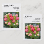 Square Photo (v3) - Kalanchoe Buds Visitekaartje (Voorkant / Achterkant)