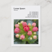 Square Photo (v3) - Kalanchoe Buds Visitekaartje (Achterkant)