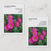 Square Photo (v3) - Michaelmas Daisies 01 Visitekaartje (Voorkant / Achterkant)