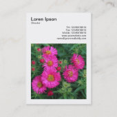 Square Photo (v3) - Michaelmas Daisies 01 Visitekaartje (Achterkant)