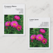 Square Photo (v3) - Michaelmas Daisies 02 Visitekaartje (Voorkant / Achterkant)