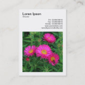 Square Photo (v3) - Michaelmas Daisies 02 Visitekaartje (Achterkant)