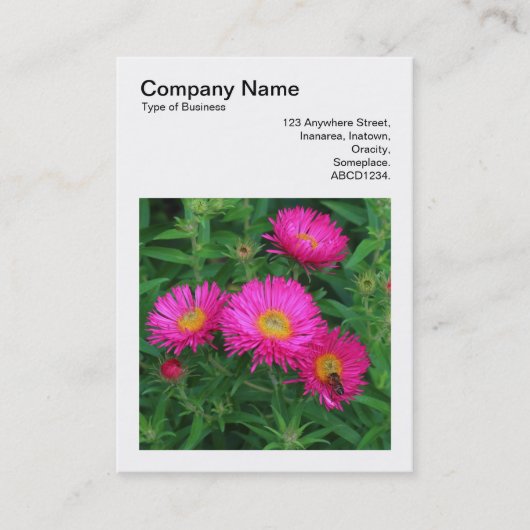 Square Photo (v3) - Michaelmas Daisies 02 Visitekaartje (Voorkant)