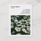 Square Photo (v3) - Shasta Daisies Visitekaartje (Achterkant)