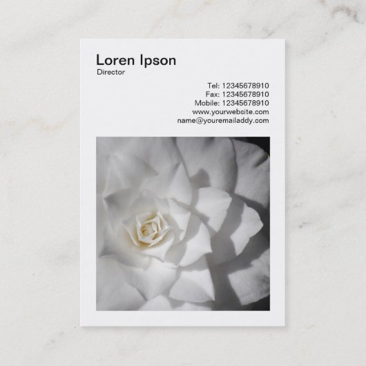 Square Photo (v3) - White Camellia Visitekaartje (Achterkant)