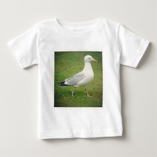 Square Photo - Walking Seagull (Voorkant)