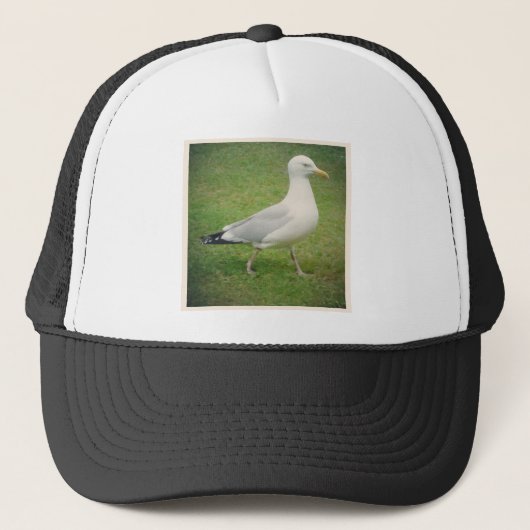 Square Photo - Walking Seagull Trucker Pet (Voorkant)