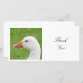 Square Photo - White Goose Bedankkaart (Voorkant / Achterkant)