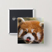 Square Red Panda Button (Voorkant /achterkant)