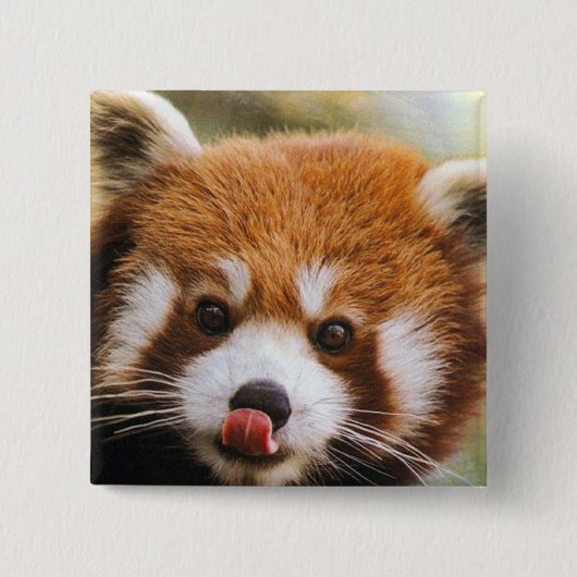 Square Red Panda Button (Voorkant)