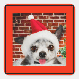 SQUARE STICKER CHIHUAHUA IN Santa hat