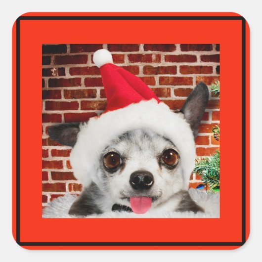 SQUARE STICKER CHIHUAHUA IN Santa hat (Voorkant)