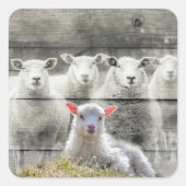 Square Stickers (Voorkant)