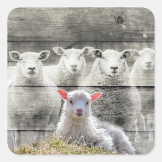 Square Stickers (Voorkant)